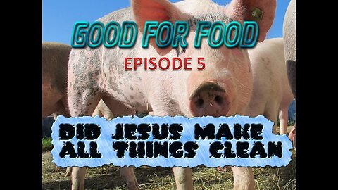 Good For Food episode 5