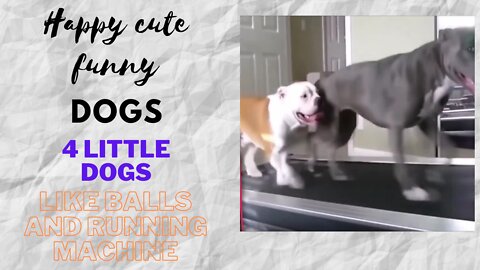 4 HAPPY CUTE DOGS LIKE BALL AND RUNNING MACHINE
