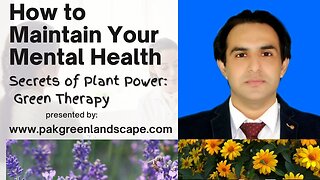 Unlocking the Secrets of Plant l Green Therapy for Mental Health