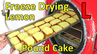 Freeze Drying Lemon & Lime Pound Cakes