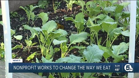 NE Ohio nonprofit works to positively change the way we think about food