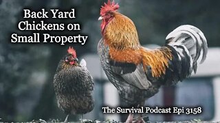 Back Yard Chickens on Small Properties - Epi-3158