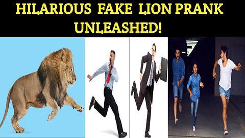 very hilarious fake lion prank unleashed