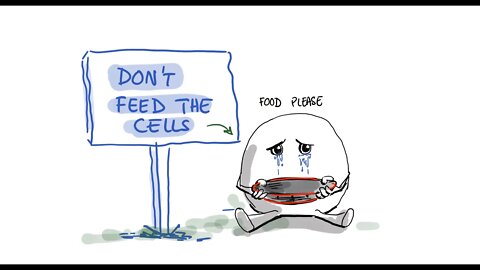 Intermittent Fasting and Potential Immune System Restoration