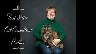 Understanding Cat Behavior Trailer