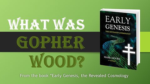 What Was "Gopher Wood"?