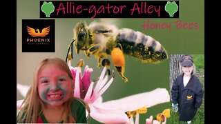 Alliegator Alley 14 | Honey Bees