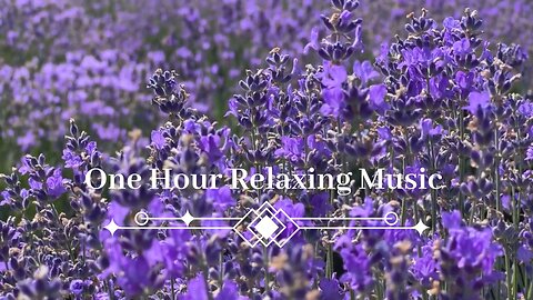 One Hour Beautiful Lavender Relaxing Music with Soft Piano