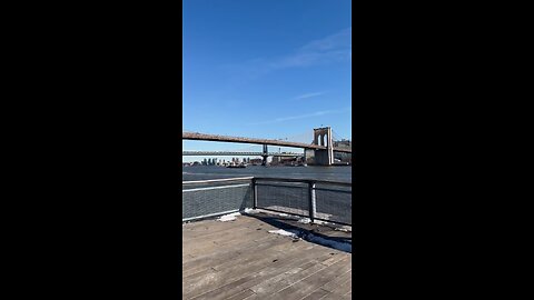 Strolling New York City, Brooklyn Bridge ❤️🌹🥀
