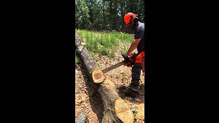 Echo CS-620 Chainsaw Cutting Footage