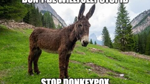 America Suffering From Donkeypox Which Is Willful Stupidity
