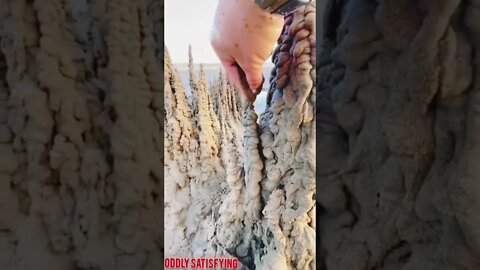 Best Oddly Satisfying Video for Stress Relief #Shorts #oddlysatisfying #relaxing #asmr(3)
