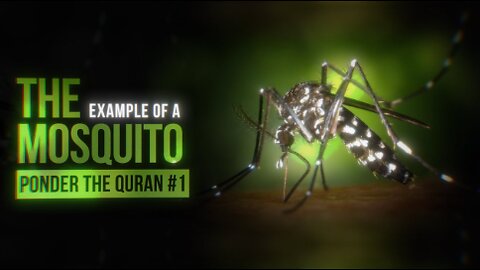 The example of the Mosquito