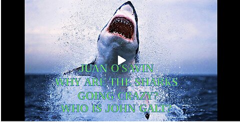 JUAN O'SAVIN WHAT IS HAPPENING TO THE OCEANS? SHARKS GOING CRAZY. TY JGANON, SGANON