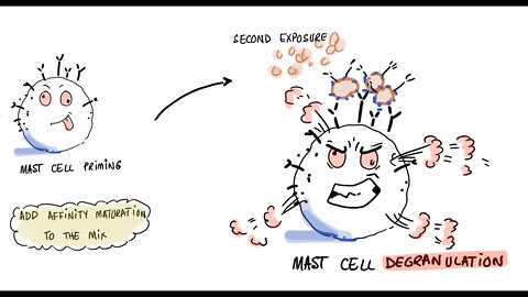 How Polyethylene Glycol (PEG) in Vaccines May Cause Allergic Reactions?