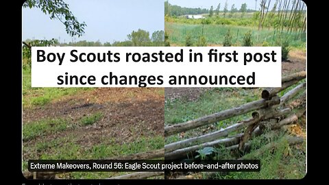 Boy Scouts Young People post roasted on social media