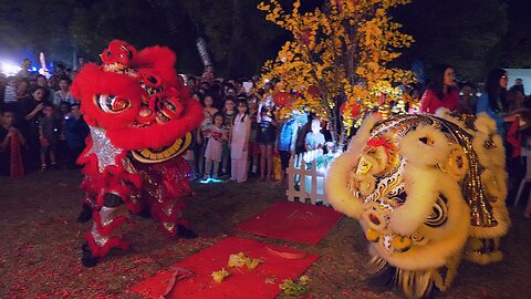 Lion Dance Firecrackers Vietnamese TET Hội Chợ Tết Mậu Tuất Perth Australia