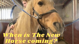 When Is Sophies Horse Coming?