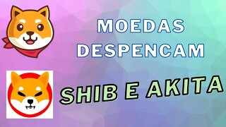 SHIB e AKITA- despencam após Fundador do Ethereum despeja-las no mercado.