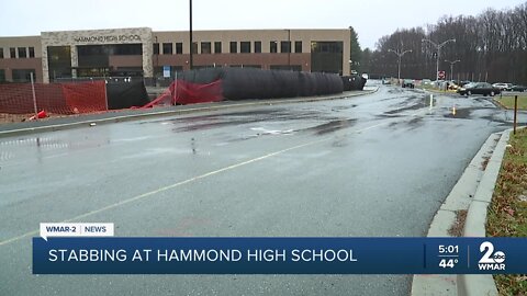 Girl, 15, charged with stabbing boy, 17, at Hammond High School in Columbia