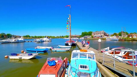 Retro’s adventure continues, sail boats swans geese and flowers at Oulton broad.