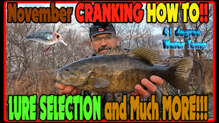 How I caught cold water Smallmouth, Largemouth Bass and Pike in November using crankbaits
