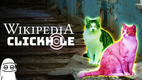 Radioactive Cats And A Senator Looking For Action | A Wikipedia Clickhole