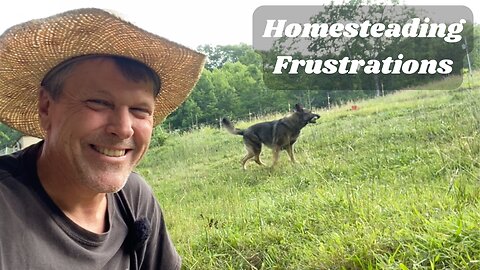 Homesteading: Things Don't Always Go As Planned