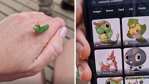 This stunning swallowtail caterpillar looks like real-life Pokémon