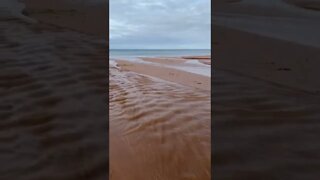 Ripples in the water at the beach