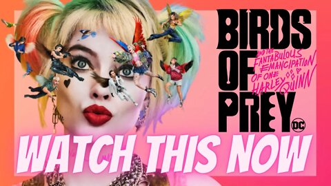 Birds Of Prey Underrated Movie Review