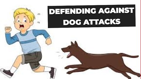 Defending Against Dog Attacks
