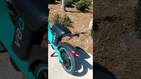 Downtown Pensacola, FL VEO & BIRD scooters