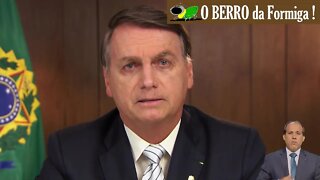 Bolsonaro faz duro discurso na Cúpula da ONU de Biodiversidade