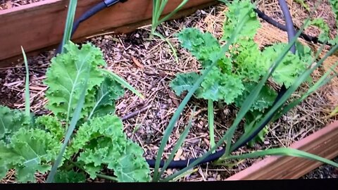 First garden tour of the season