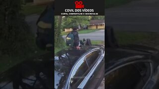 homem sobe em cima de um carro pra fugir do cachorro