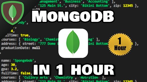 Learn MongoDB in 1 Hour 🍃 (2023)