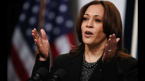 Mark Morgan to Newsmax Not Surprising Kamala Harris Missing on Afghanistan