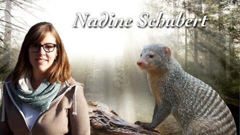 Mütterliche Mangusten - Nadine Schubert