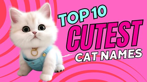 Cutest Cat Names - TOP 10 Cutest Cat Names For Male & Female!