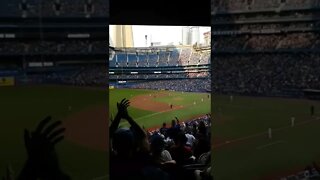 Toronto Blue Jays home run!