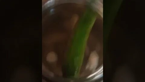 Lazy pickling