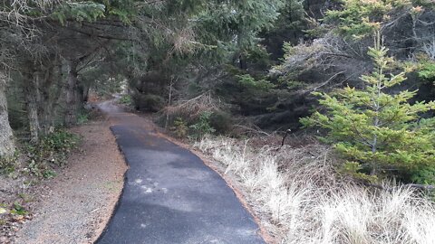 WHIDBEY ISLAND TRAILS, AT DECEPTION PASS PARK