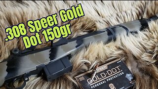 .308 Speer Gold Dot 150gr HOME DEFENSE TEST