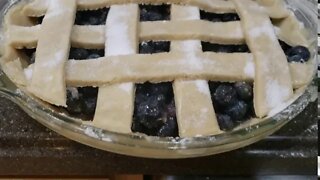 Blueberry Pie, homemade from Scratch pt 1