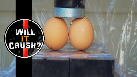 Will eggs crush under a hydraulic press?
