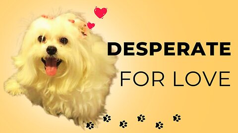 Desperate for Love - Episode 6 (Pipoca and Me)