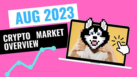 Crypto Market Monthly UPDATE The TOP Trends You NEED to Know #1 Hosky Fan