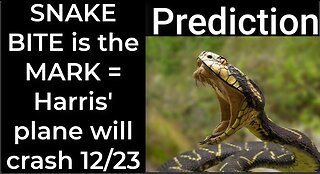 Prediction - SNAKE BITE prophecy = Harris' plane will crash Dec 23