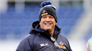 John Dobson on Stormers v Leinster